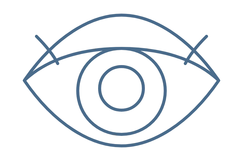 Continuous line drawing of an eye, symbolizing expert review.